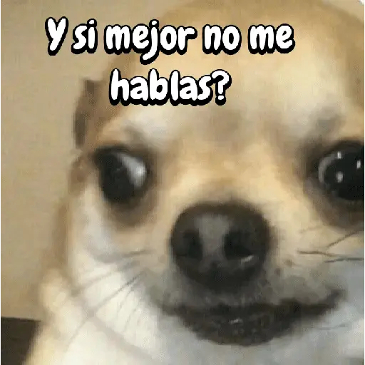 FuNnY MeMes con texto ✨