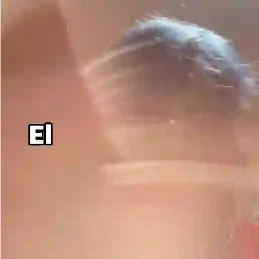 La Matraca /fajitas/tiktok 💥