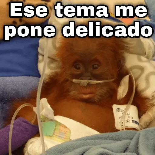 Cambio detema🔥pueden tus ideas