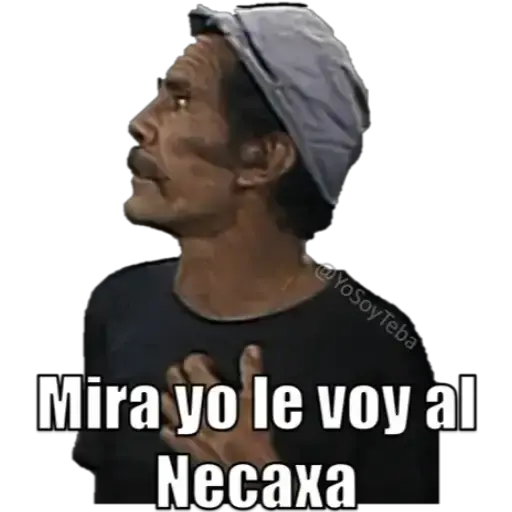chavo del 8