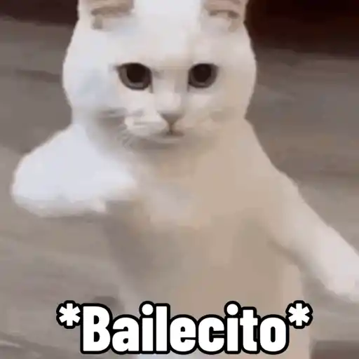 😎 ANIMADOS CON TEXTOS 2 😎