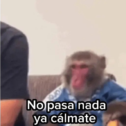 🙉Monos 🙊🐵