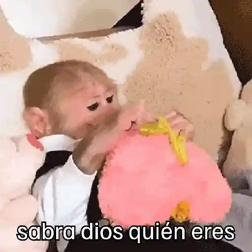 🙉Monos 🙊🐵