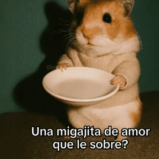 🥭💥 Variados PAL GRUPO 😎🌍