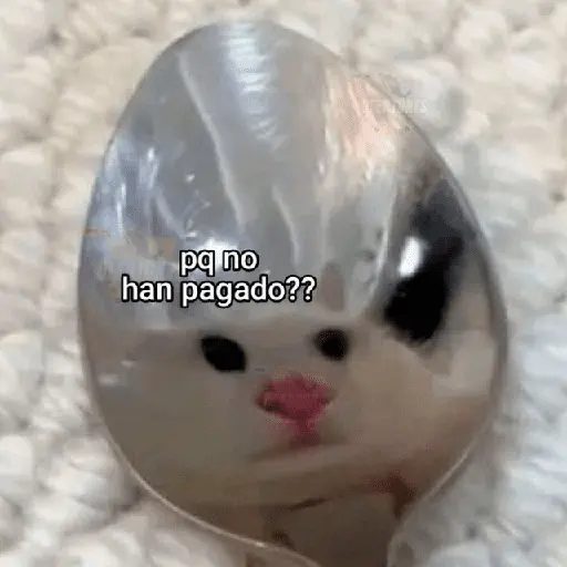 🥭💥 Variados PAL GRUPO 😎🌍