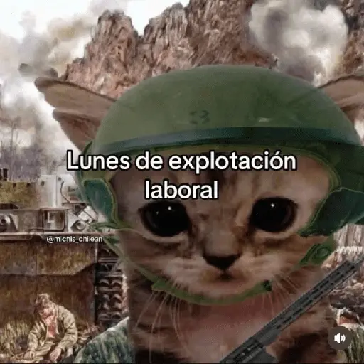 🥭💥 Variados PAL GRUPO 😎🌍