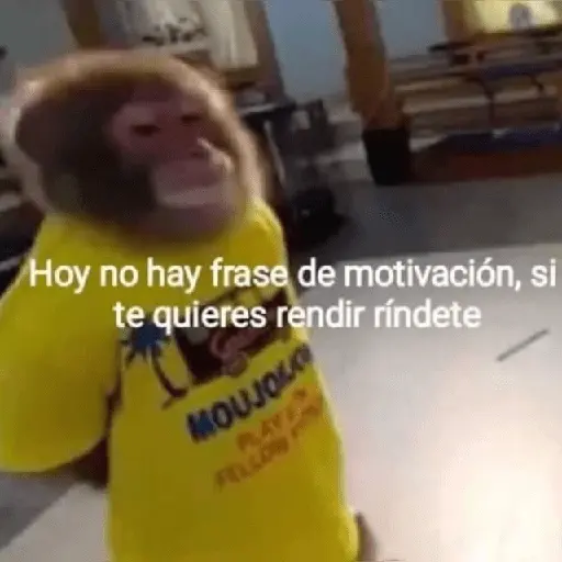 🥭💥 Variados PAL GRUPO 😎🌍