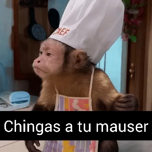 🥭💥 Variados PAL GRUPO 😎🌍