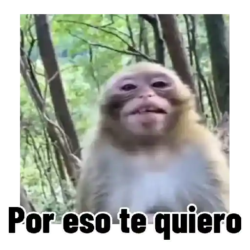 Frases estilo mono 🙈🙉 preview