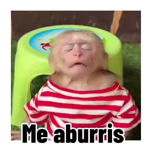Frases estilo mono 🙈🙉