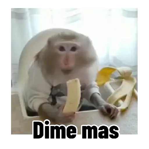 Frases estilo mono 🙈🙉 preview
