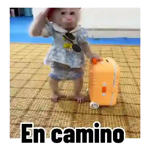 Frases estilo mono 🙈🙉