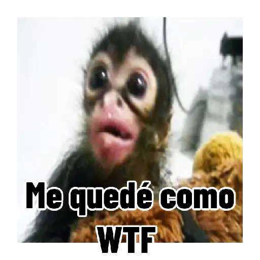 Frases estilo mono 🙈🙉