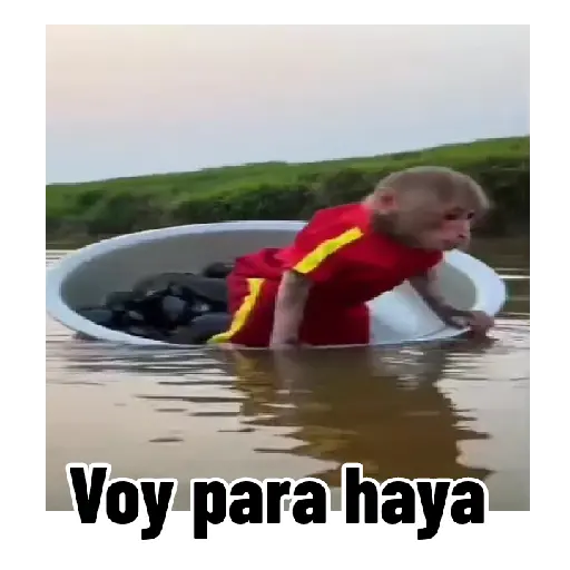 Frases estilo mono 🙈🙉