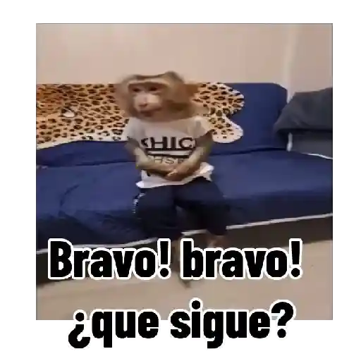 Frases estilo mono 🙈🙉