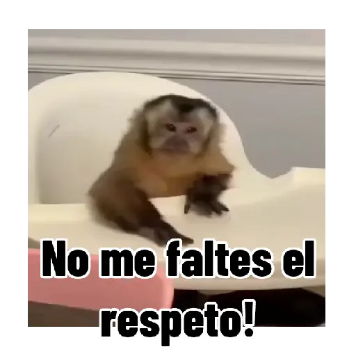 Frases estilo mono 🙈🙉