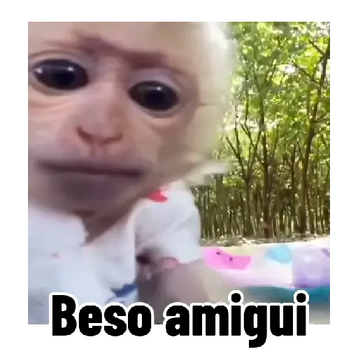 Frases estilo mono 🙈🙉