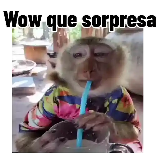 Frases estilo mono 🙈🙉