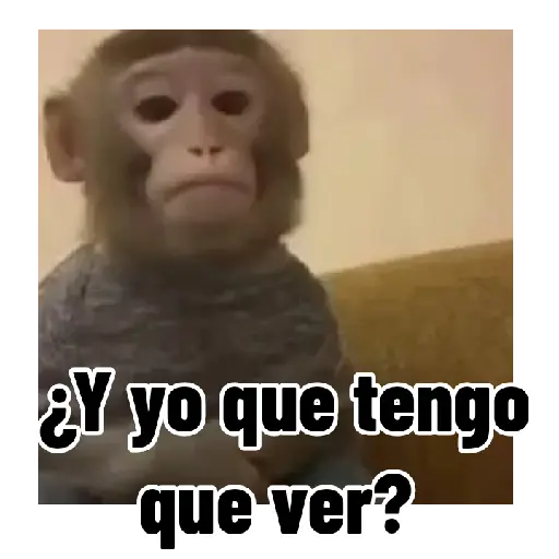 Frases estilo mono 🙈🙉