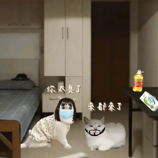 🧿memes Hong/sister Hong🔥