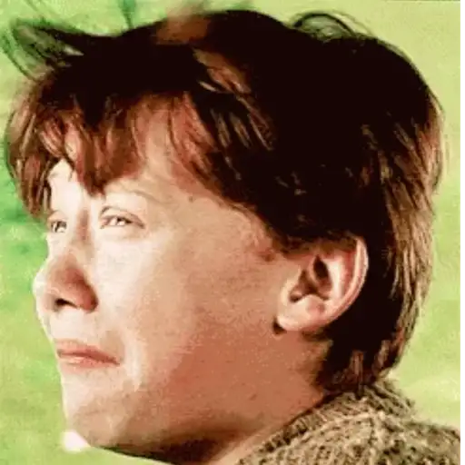 GIFs Harry Potter