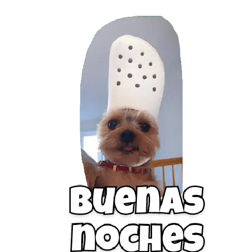 chavo del ocho