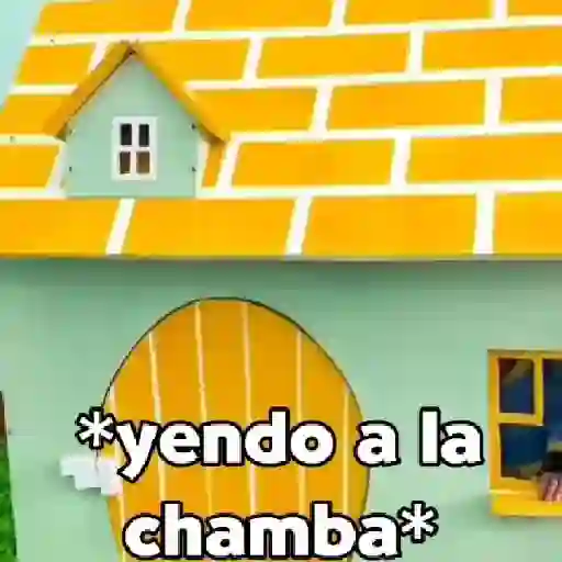 monos y changuitos ⁵ 🦧🦍🐒