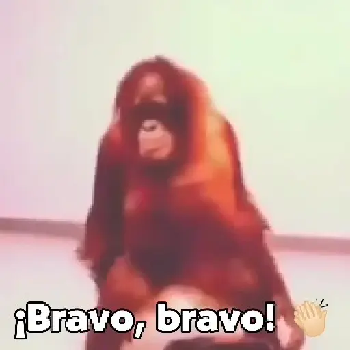 monos y changuitos ⁵ 🦧🦍🐒