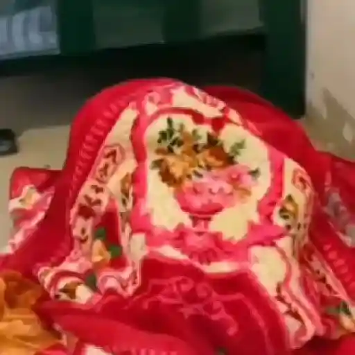 monos y changuitos ⁵ 🦧🦍🐒 preview