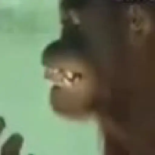 monos y changuitos ⁵ 🦧🦍🐒