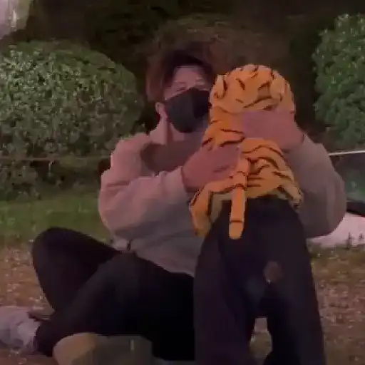monos y changuitos ⁵ 🦧🦍🐒 preview