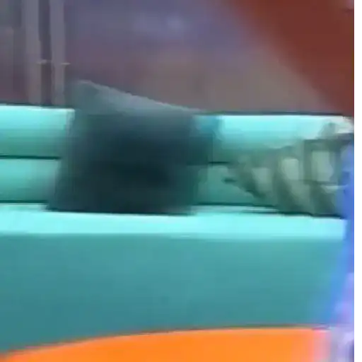 Abelito🧦La Casa de los famosos preview