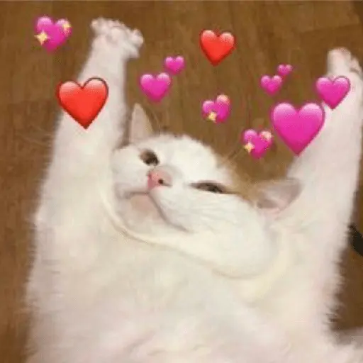 💕🩷Corazones Reaccion🩷💕