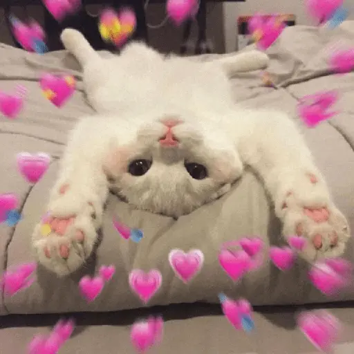 💕🩷Corazones Reaccion🩷💕