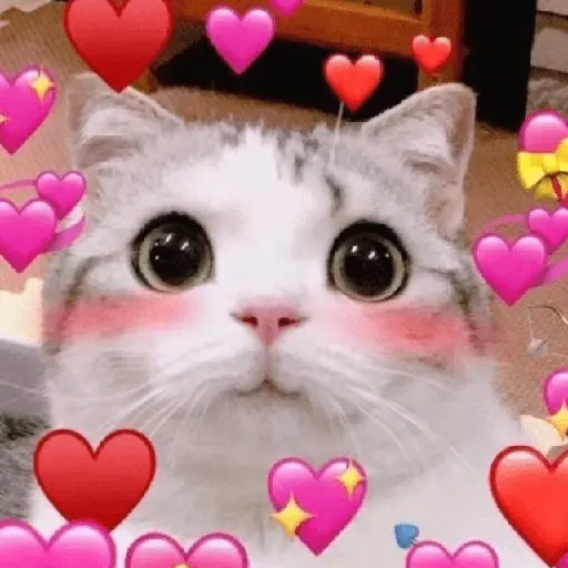💕🩷Corazones Reaccion🩷💕