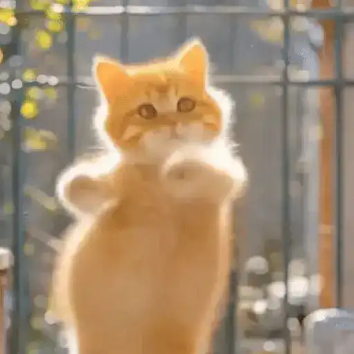 GaTiToS BaiLaNdO TikTok🐱🎶🐈‍⬛