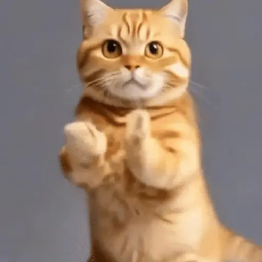 GaTiToS BaiLaNdO TikTok🐱🎶🐈‍⬛ preview