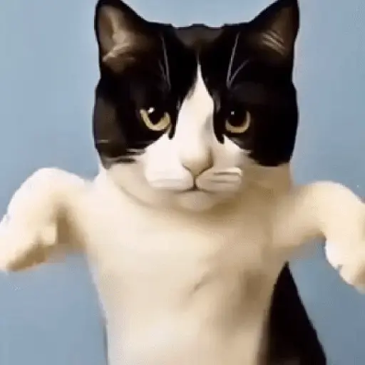 GaTiToS BaiLaNdO TikTok🐱🎶🐈‍⬛ preview