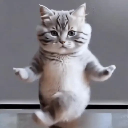 GaTiToS BaiLaNdO TikTok🐱🎶🐈‍⬛