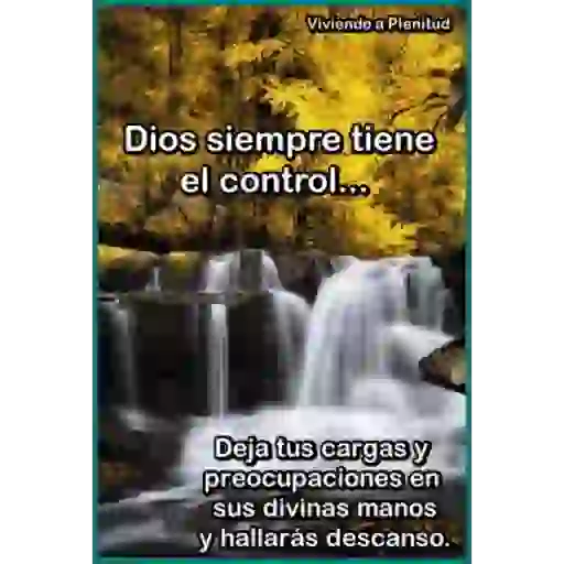 Congelados