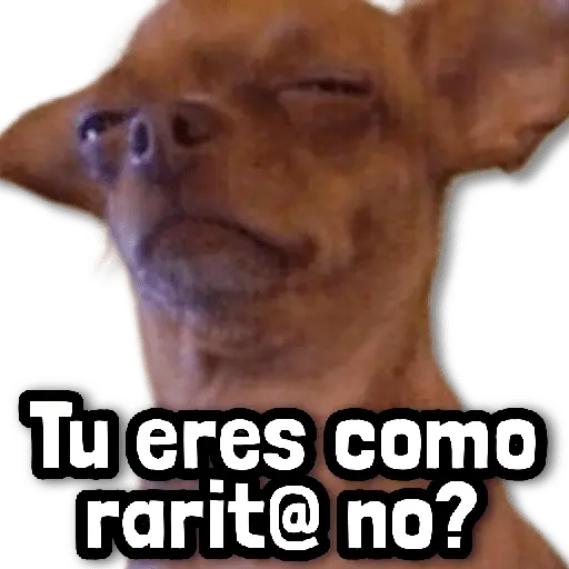 Stickers sin Filtro #➊➋ 😂