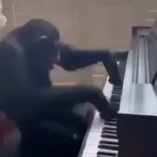 monos y changuitos ⁴ 🐒🦍🦧