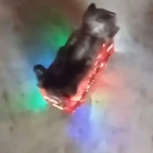 Memes animados | tiktok