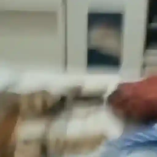 Memes animados | tiktok preview