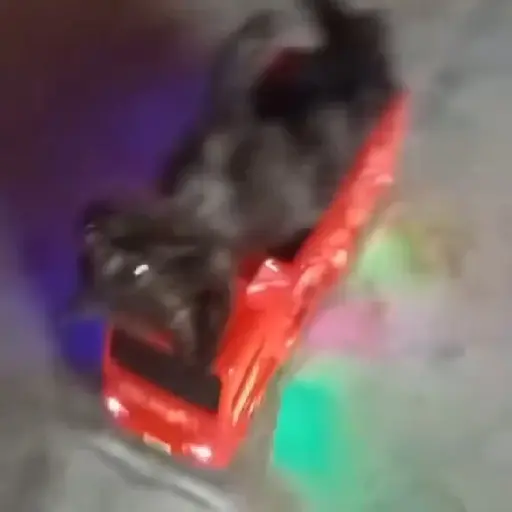 Memes animados | tiktok preview