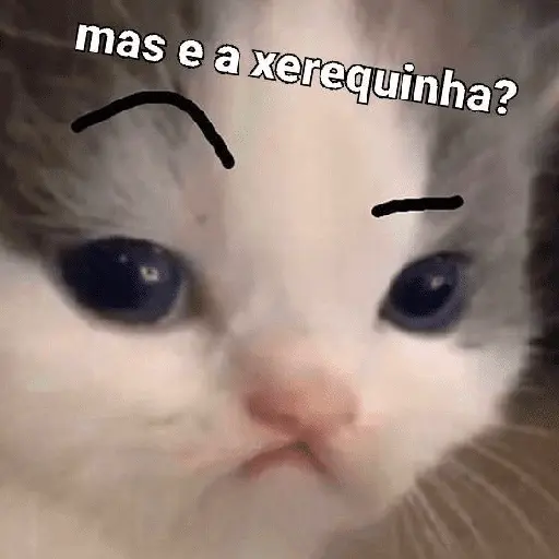 Vamos de sapecagens