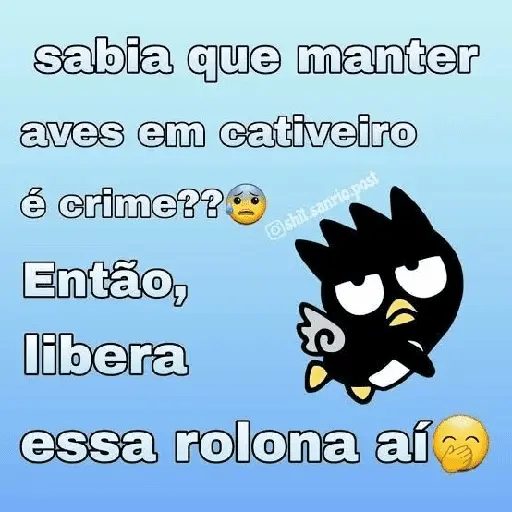 Vamos de sapecagens