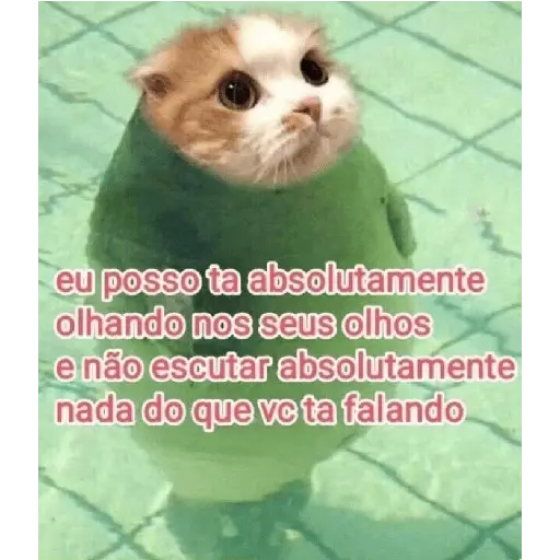 Vamos de sapecagens