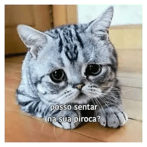 Vamos de sapecagens