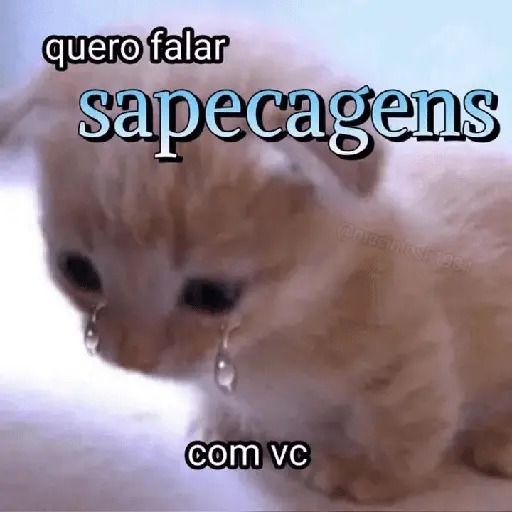 Vamos de sapecagens